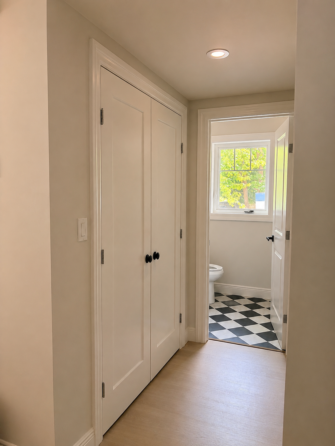 Main Floor Closet